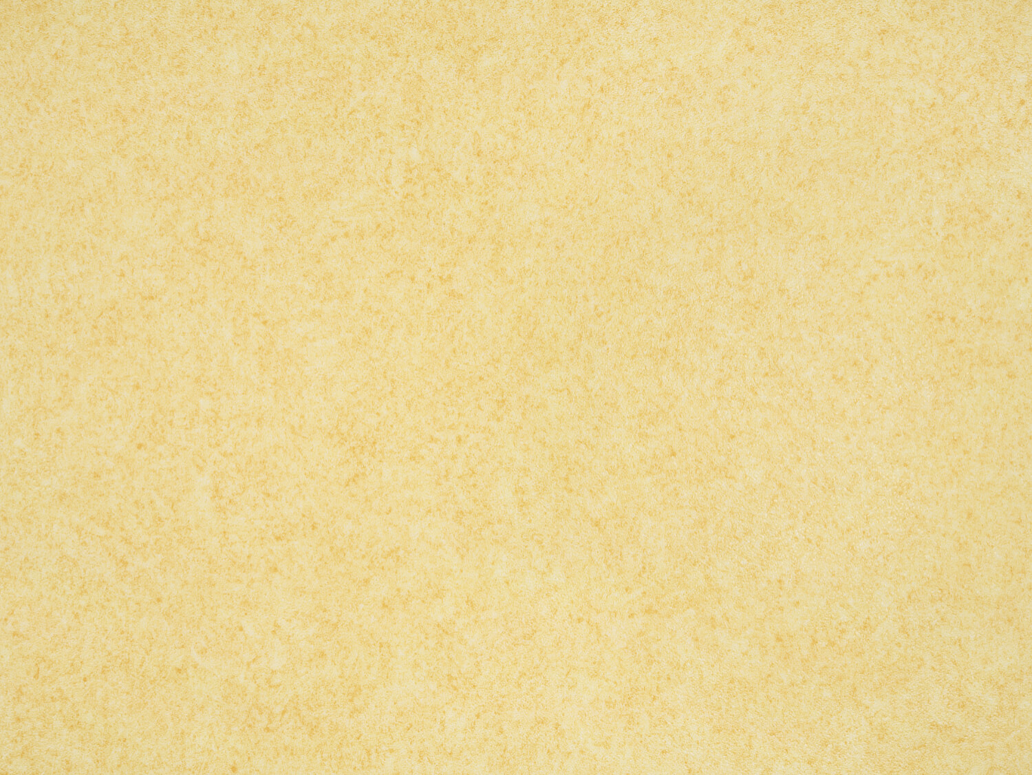 NFE Virgo 2805-5 Novoflor Extra