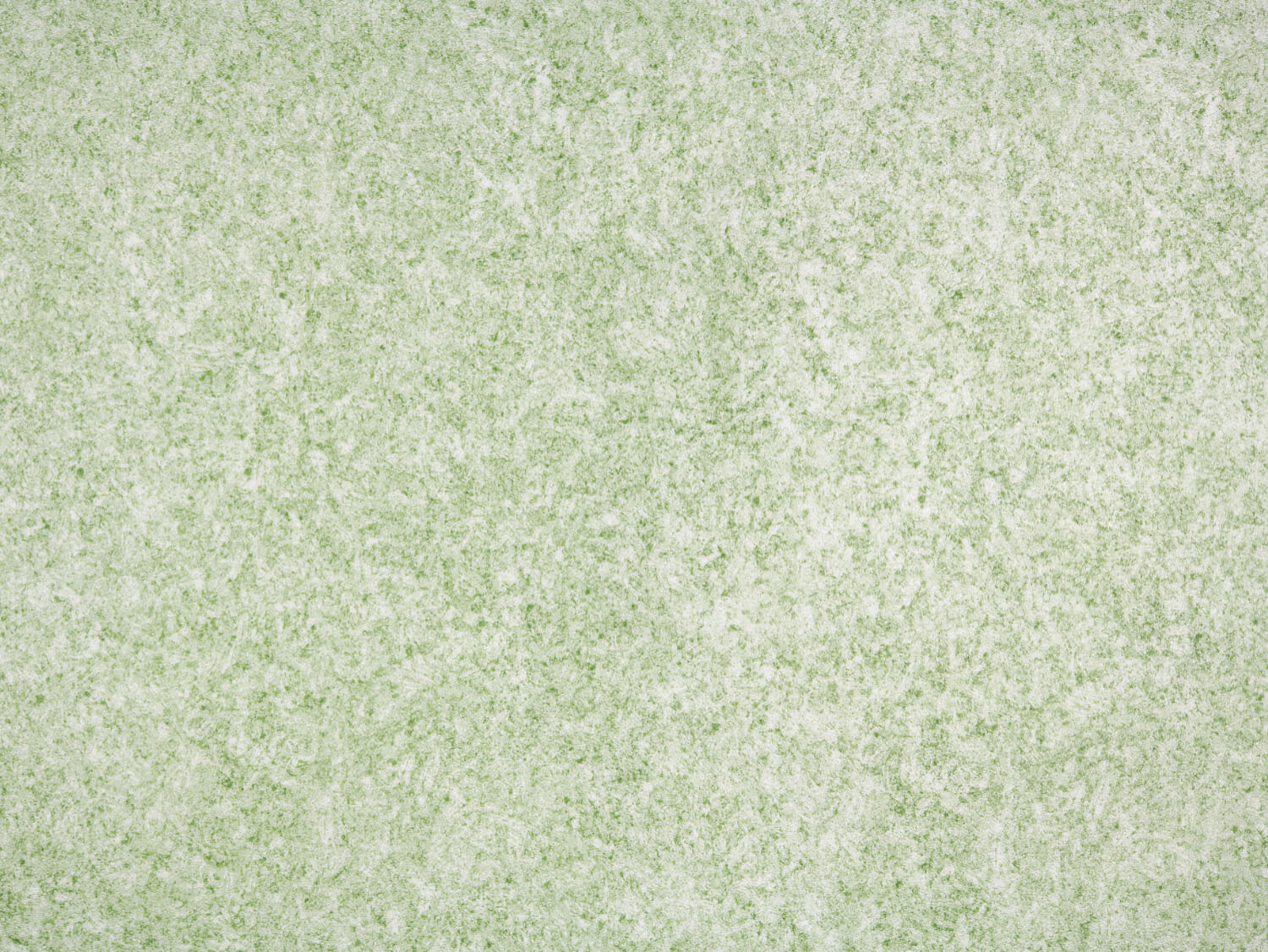 NFE Virgo 2805-54 Novoflor Extra