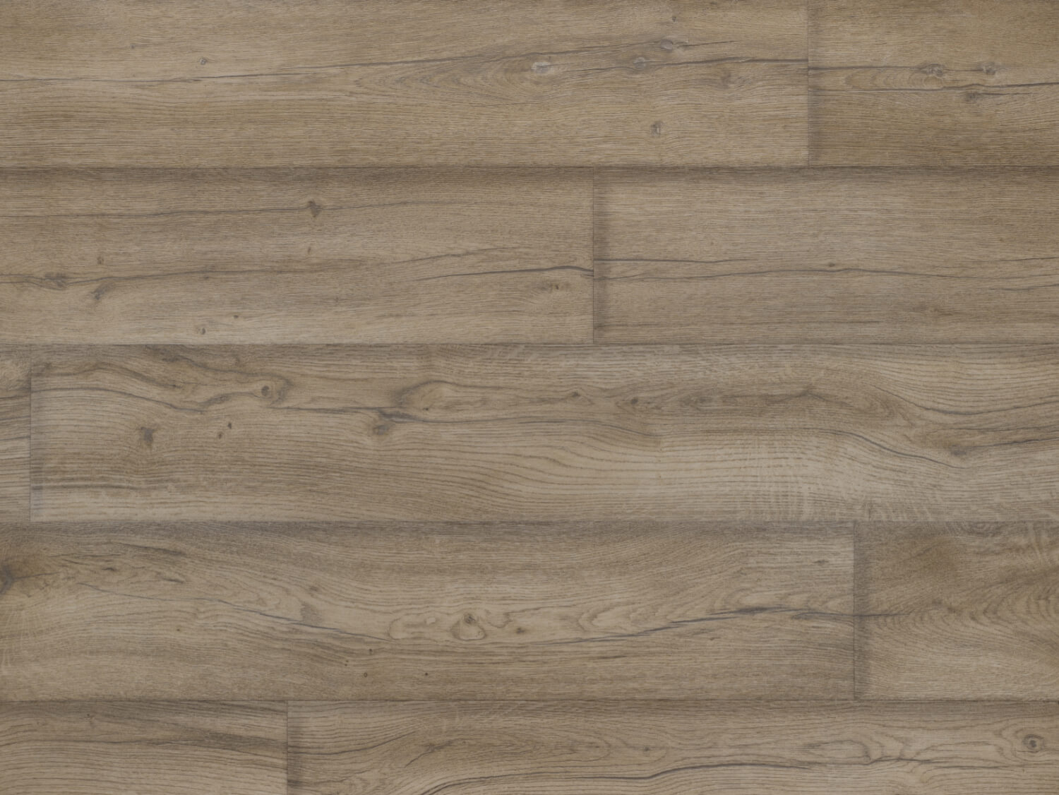 NFE Mars 2420-53 Novoflor Extra