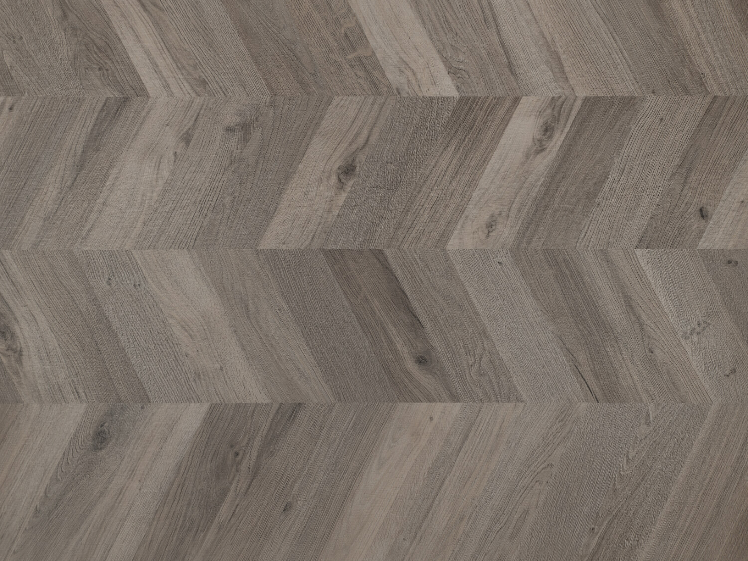 NFE Mars 2450-54 Novoflor Extra