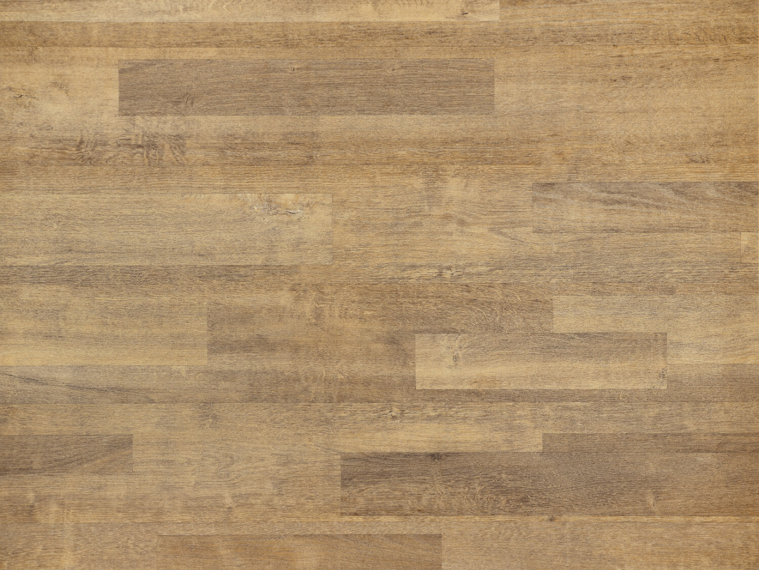 NFE Wega 2417-1 Novoflor Extra