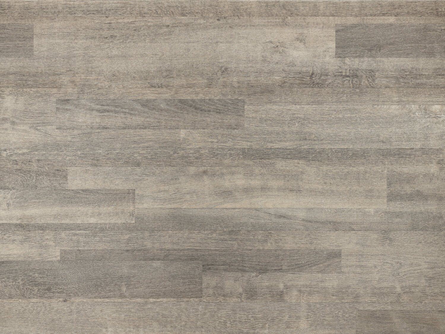 NFE Wega 2417-4 Novoflor Extra