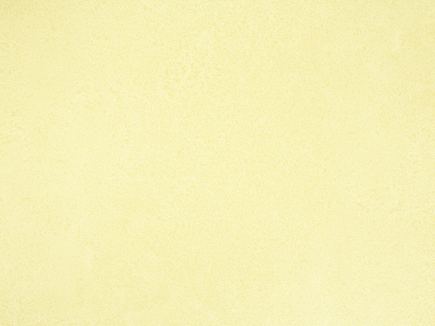 NFE Sparkle 2440-1 Novoflor Extra