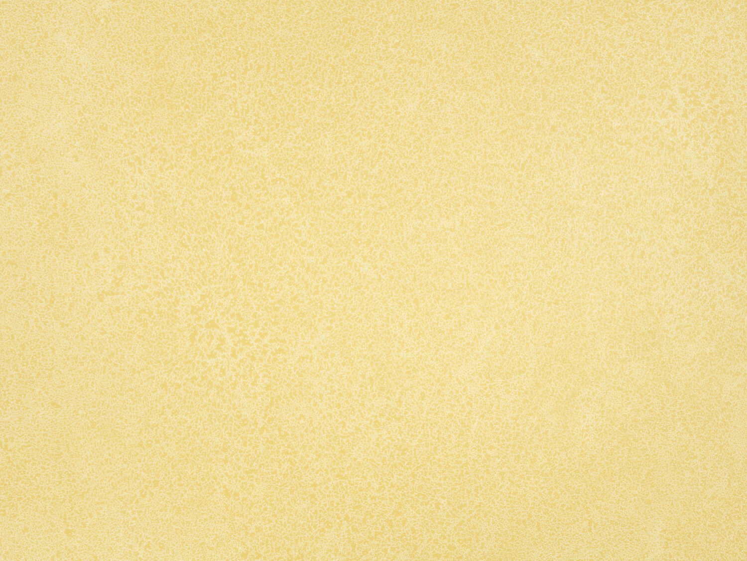 NFE Sparkle 2440-2 Novoflor Extra