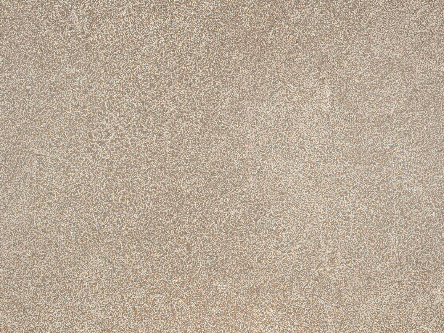 NFE Sparkle 2440-3 Novoflor Extra