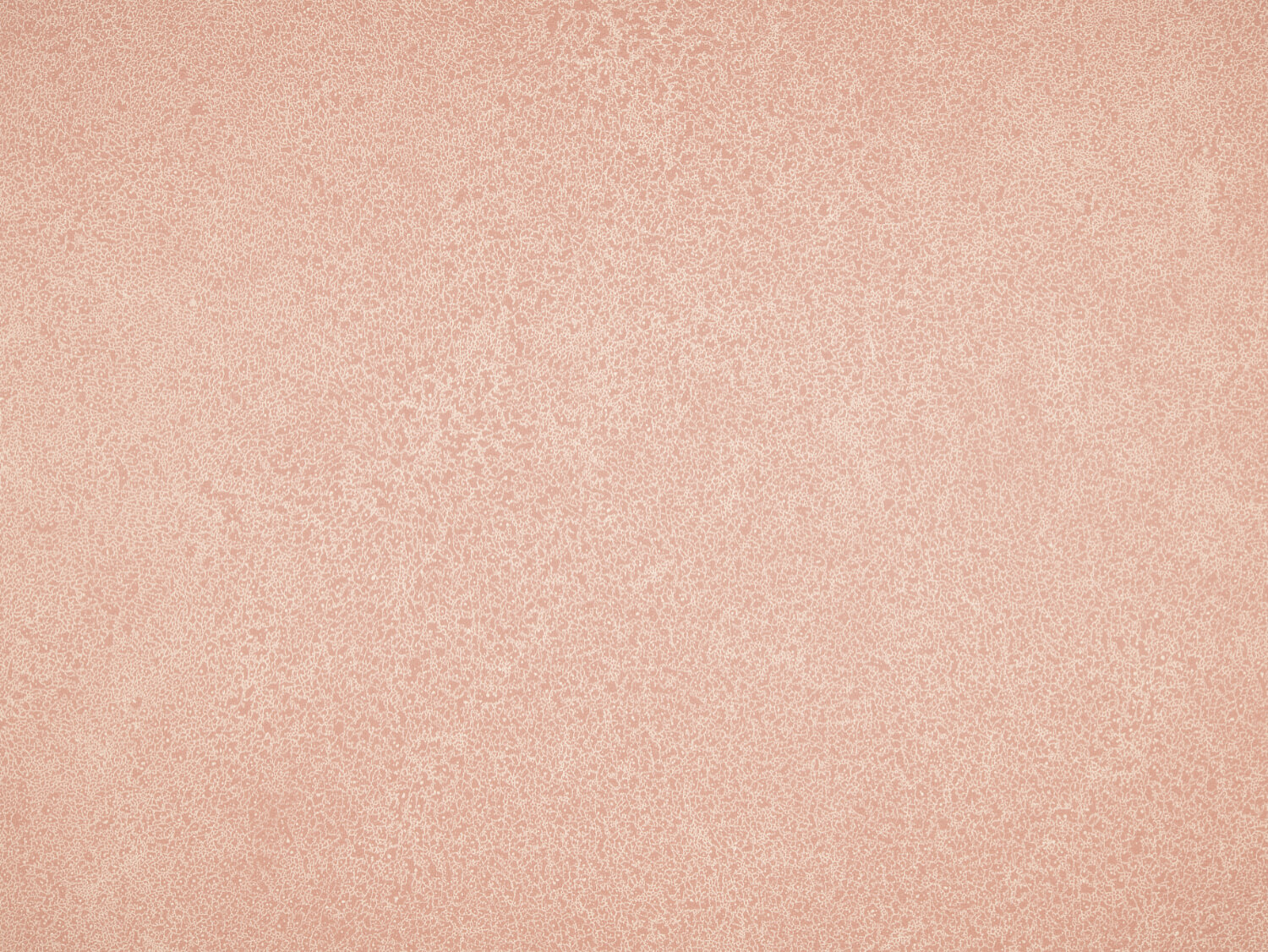 NFE Sparkle 2440-4 Novoflor Extra