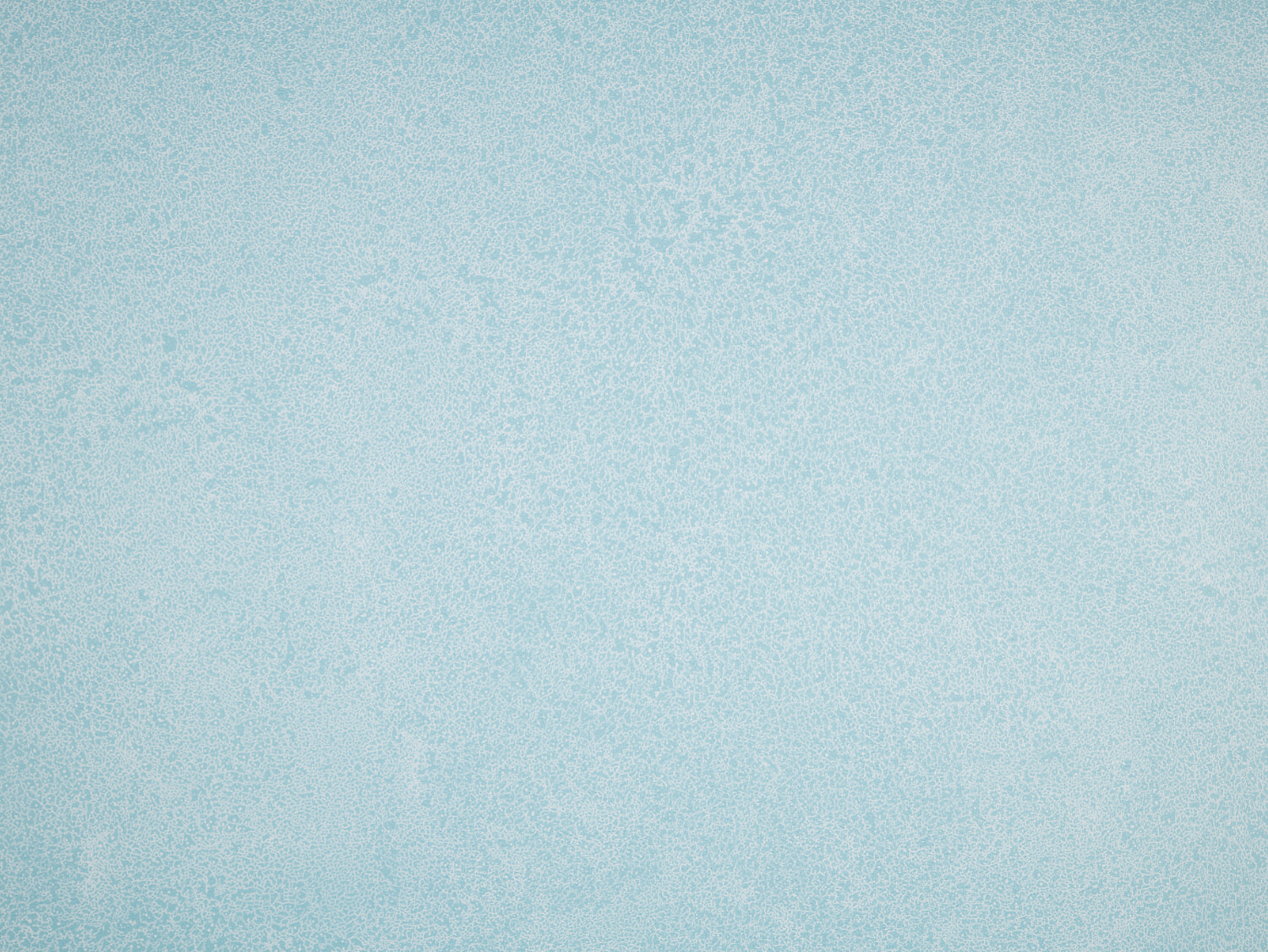 NFE Sparkle 2440-55 Novoflor Extra