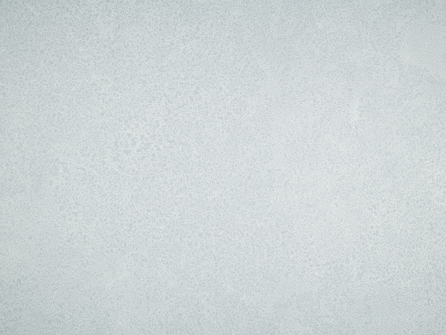 NFE Sparkle 2440-57 Novoflor Extra