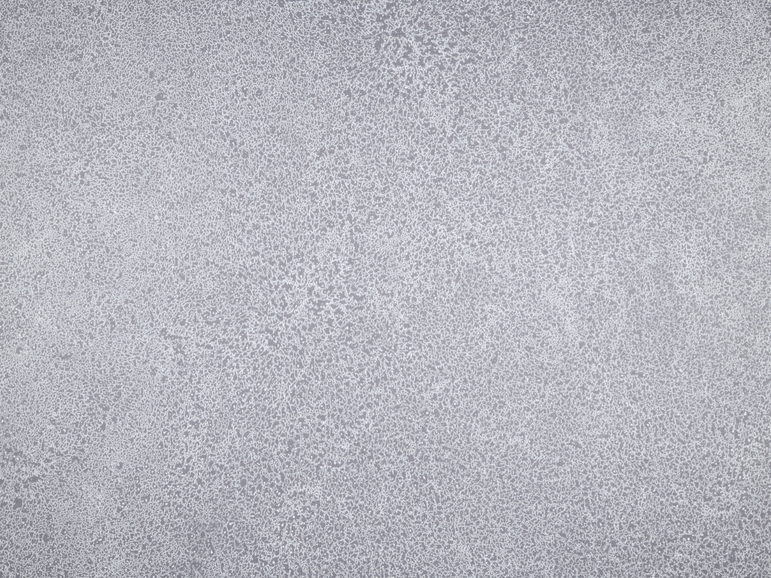 NFE Sparkle 2440-58 Novoflor Extra