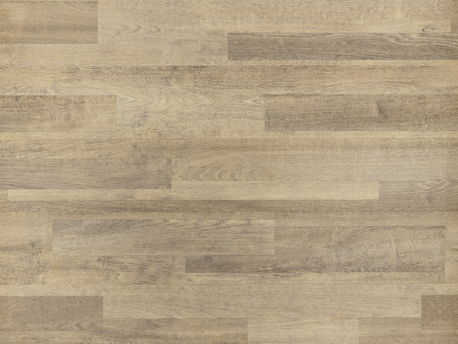 NFE Helia 2417-2 Novoflor Extra