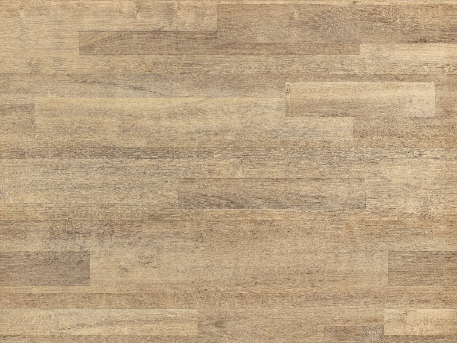 NFE Helia 2417-3 Novoflor Extra