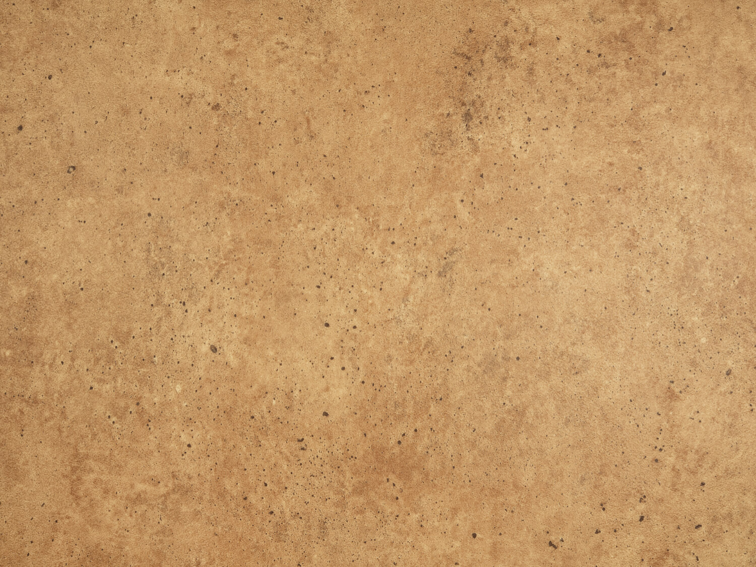 NFE Tauri 2393-2 Novoflor Extra