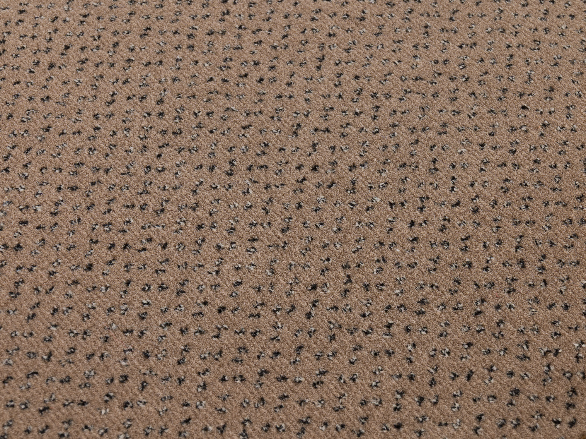 Fortesse SDE new 138