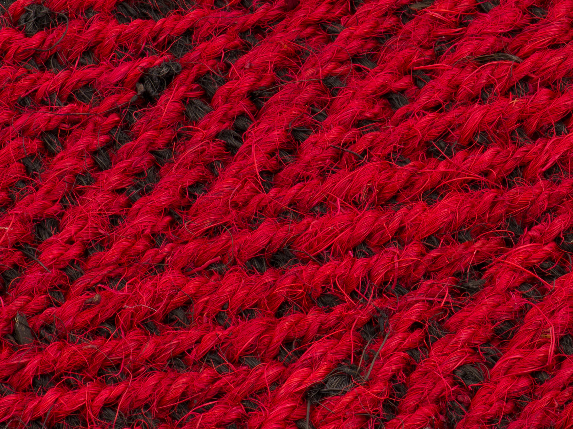 Kokos 111 přírodní buklák