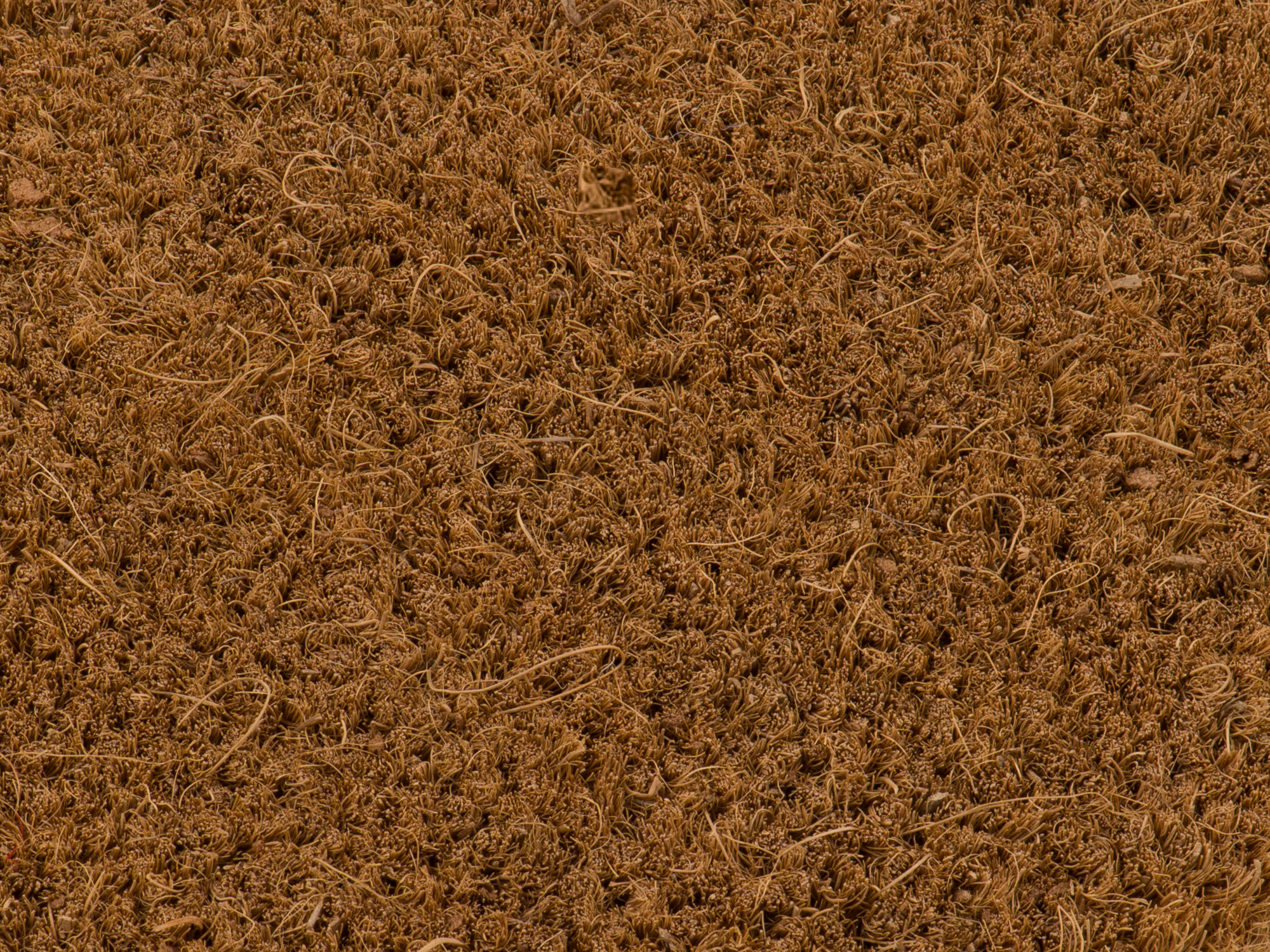 Kokosová rohož Melplast Plus přírodní 20 mm