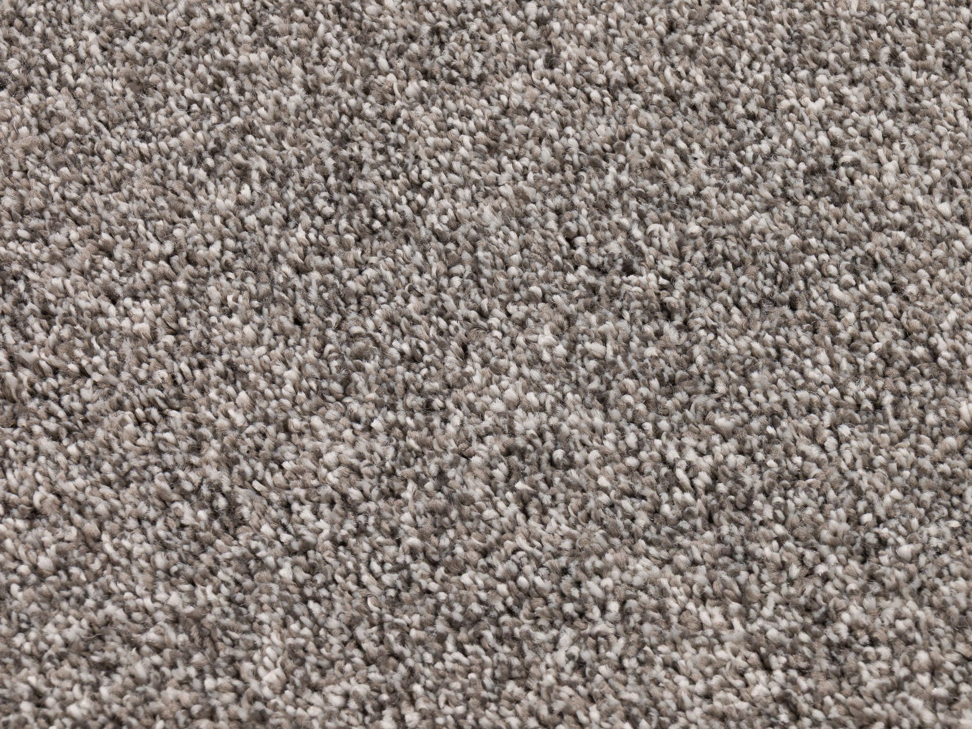 Bohemian 577 intuitive