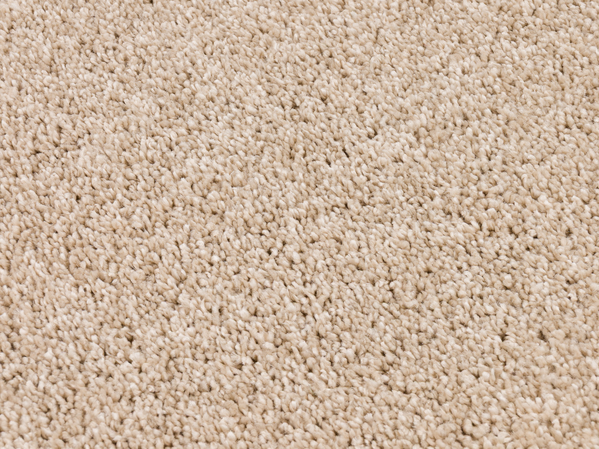 Bohemian 590 dessert