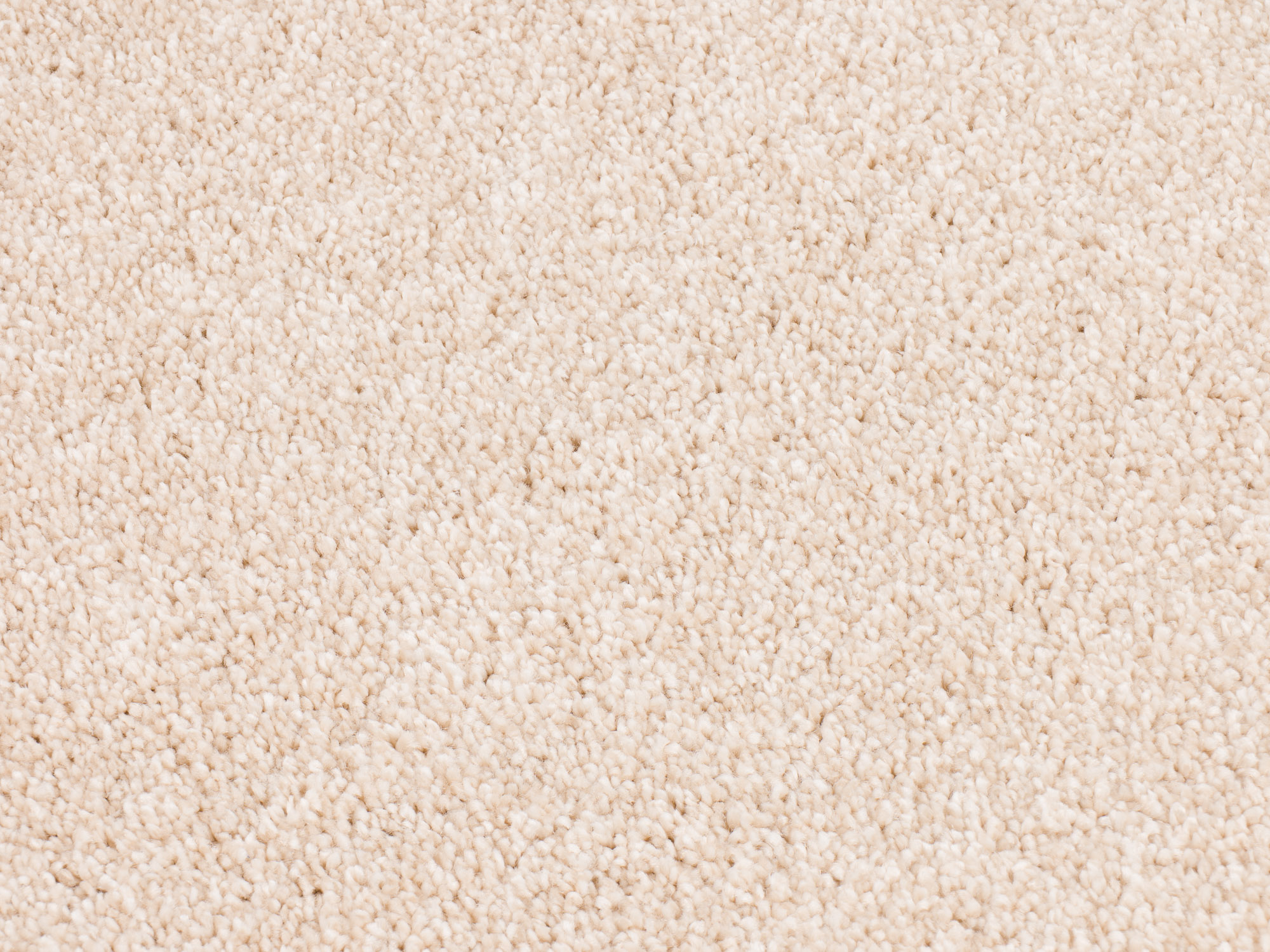 Timeless Elegance 560 seriously sand