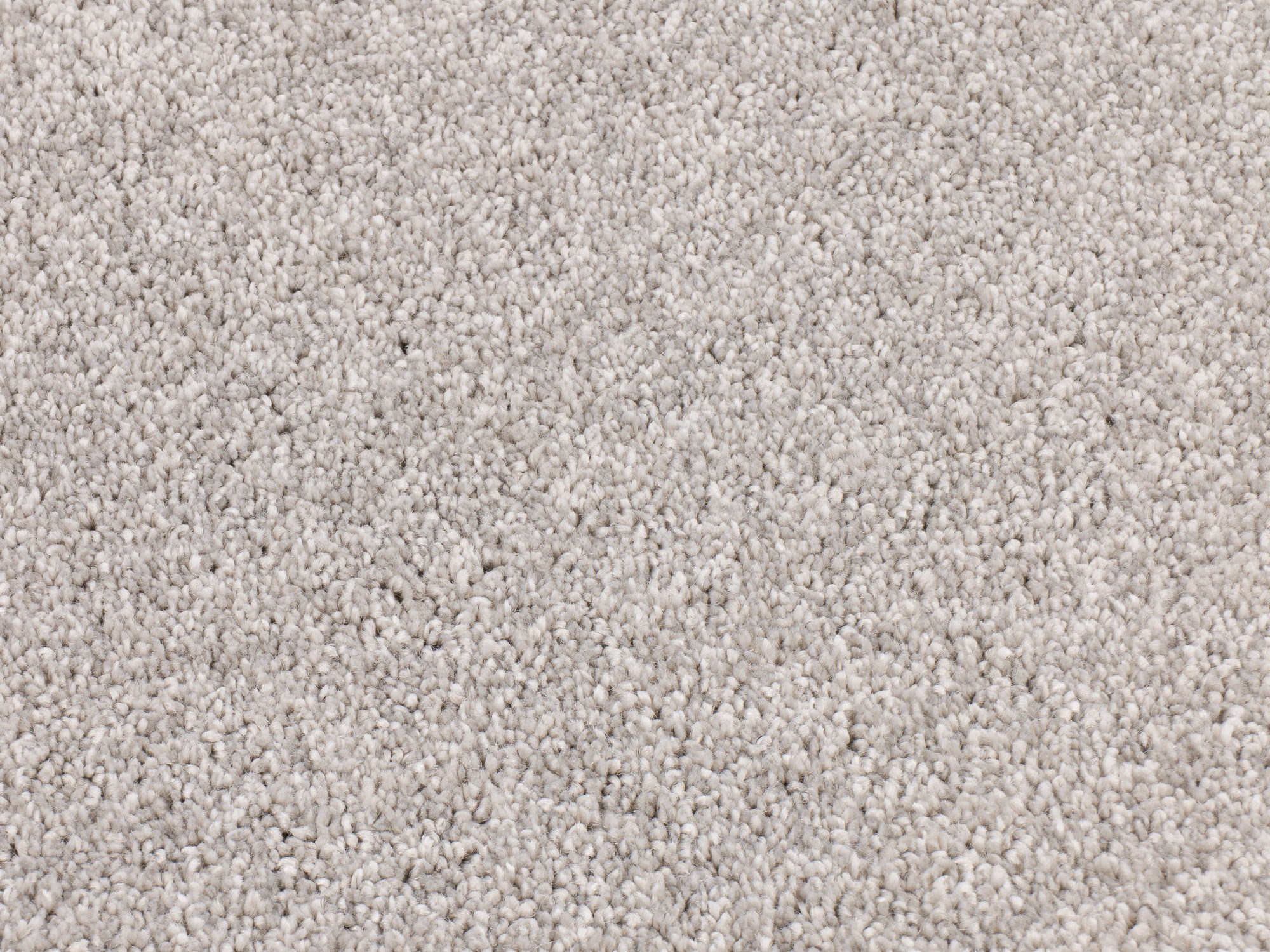 Timeless Elegance 575 misty