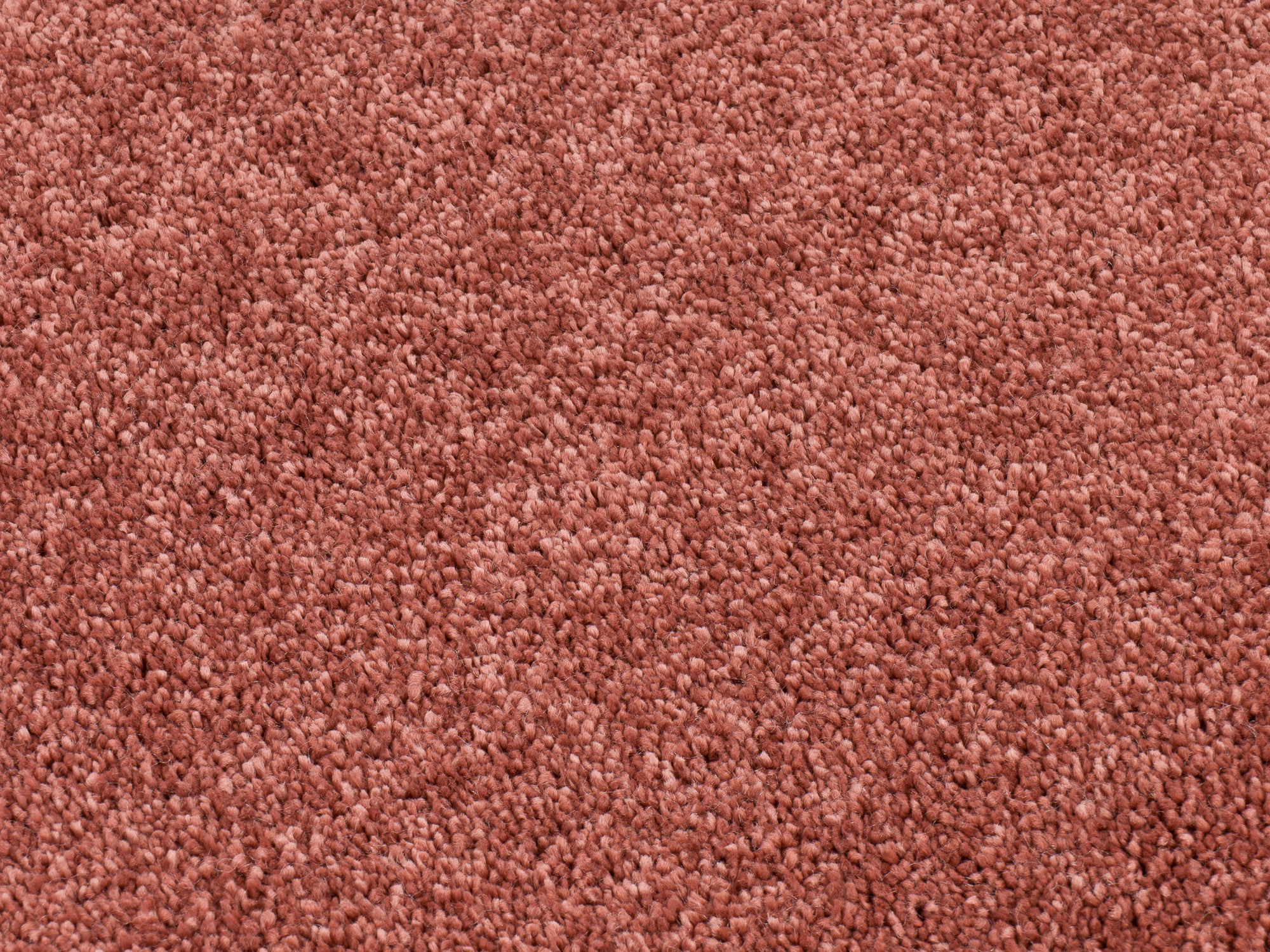 Timeless Elegance 535 pagan