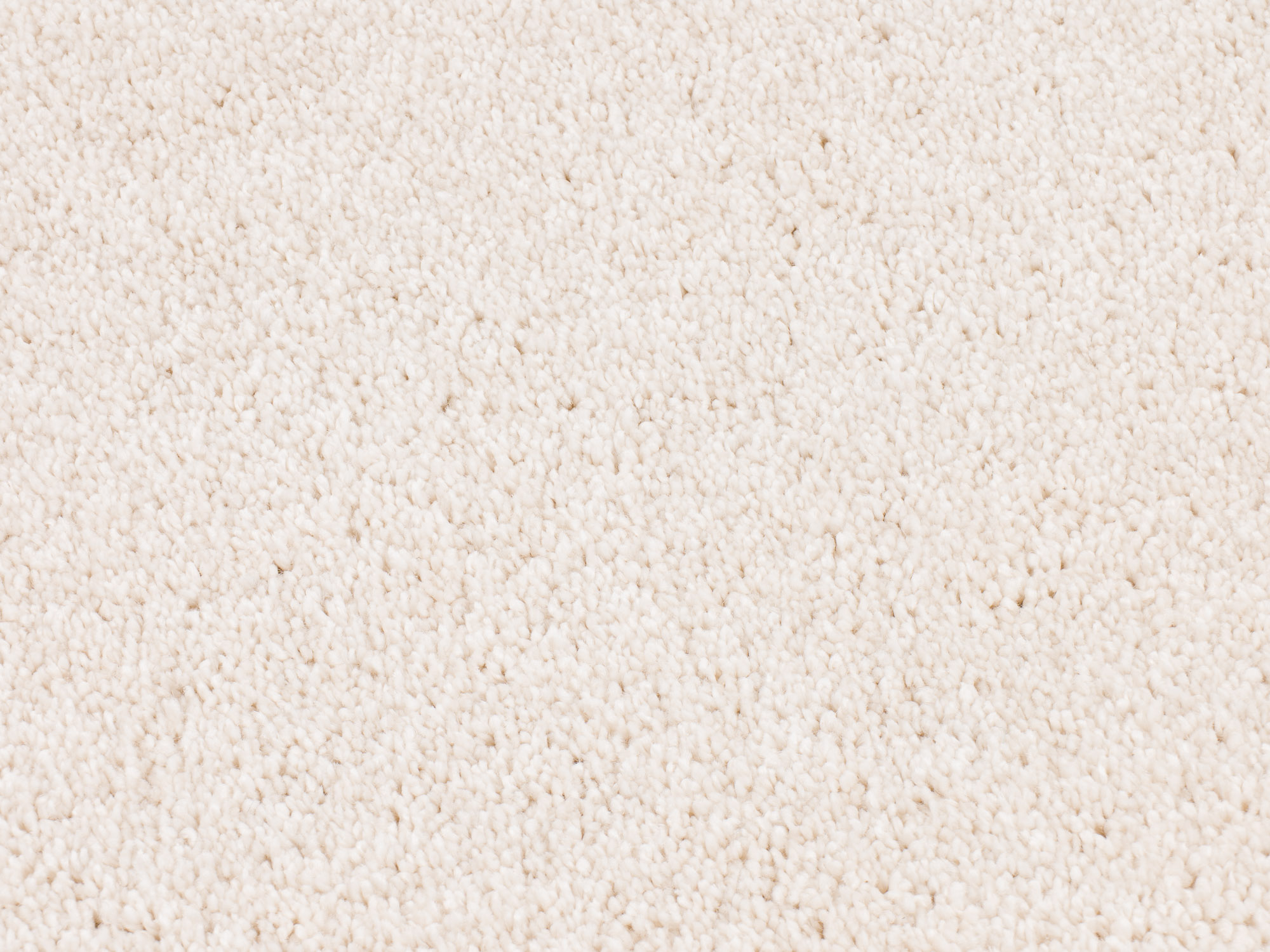 Timeless Elegance 561 chalk