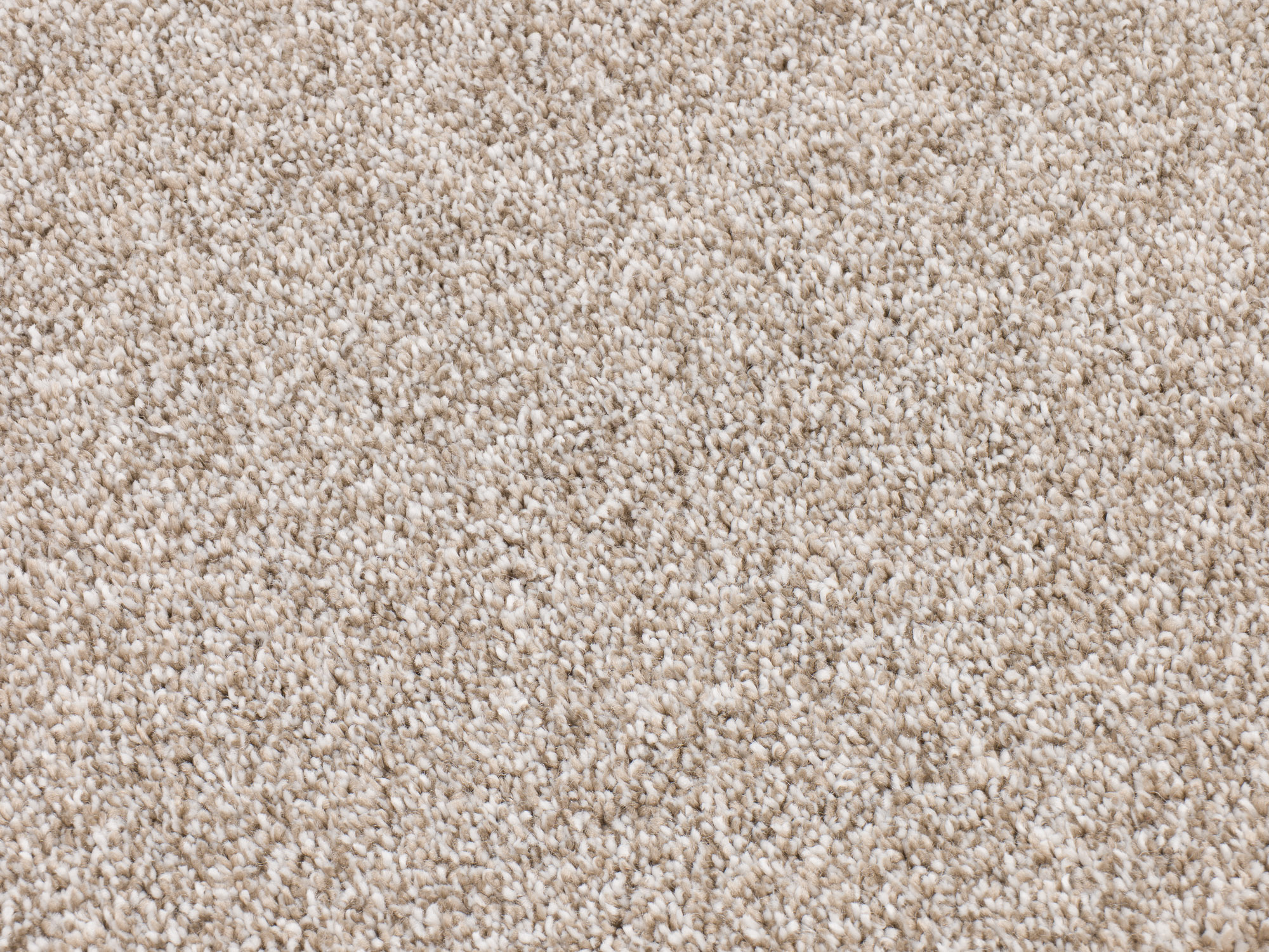 Timeless Elegance 569 grigio