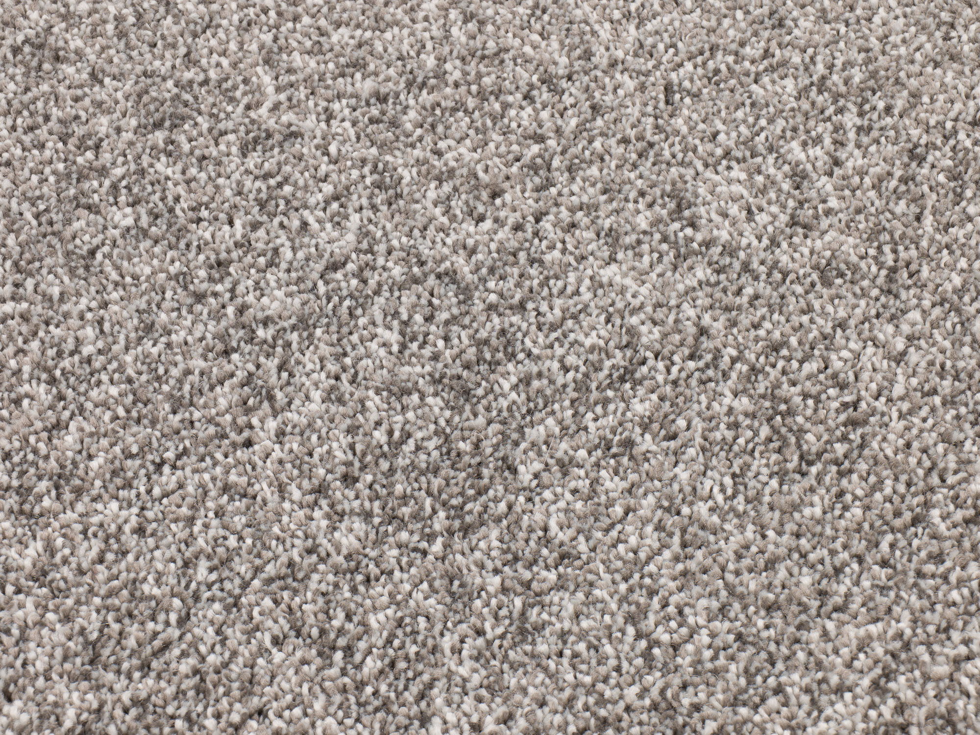 Timeless Elegance 577 intuitive