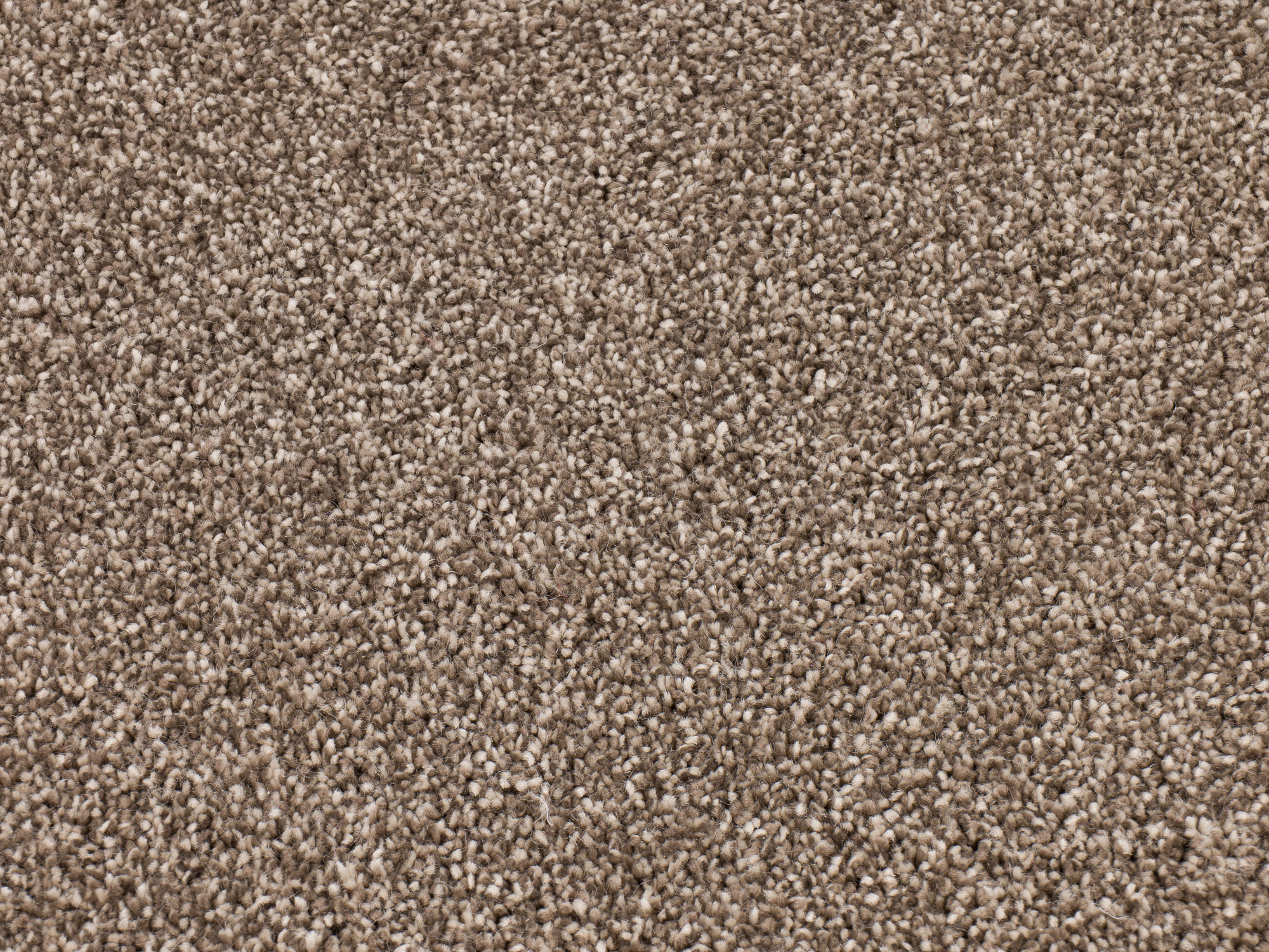 Timeless Elegance 598 pewter