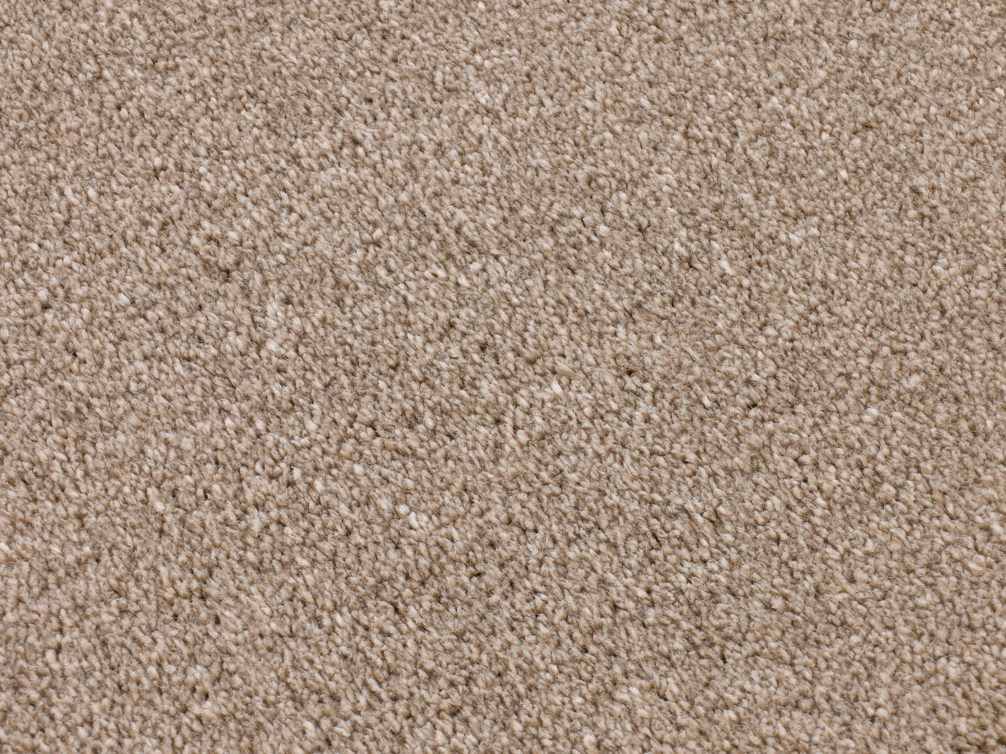 Scottsdale 130 nutmeg