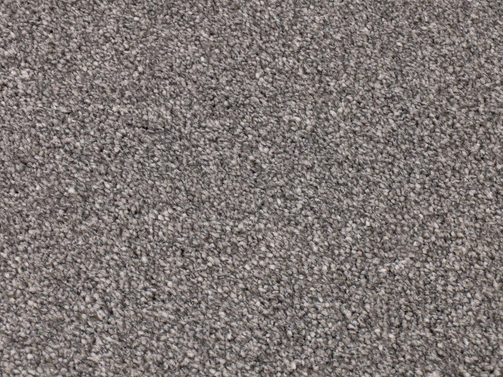 Scottsdale 935 bayleaf