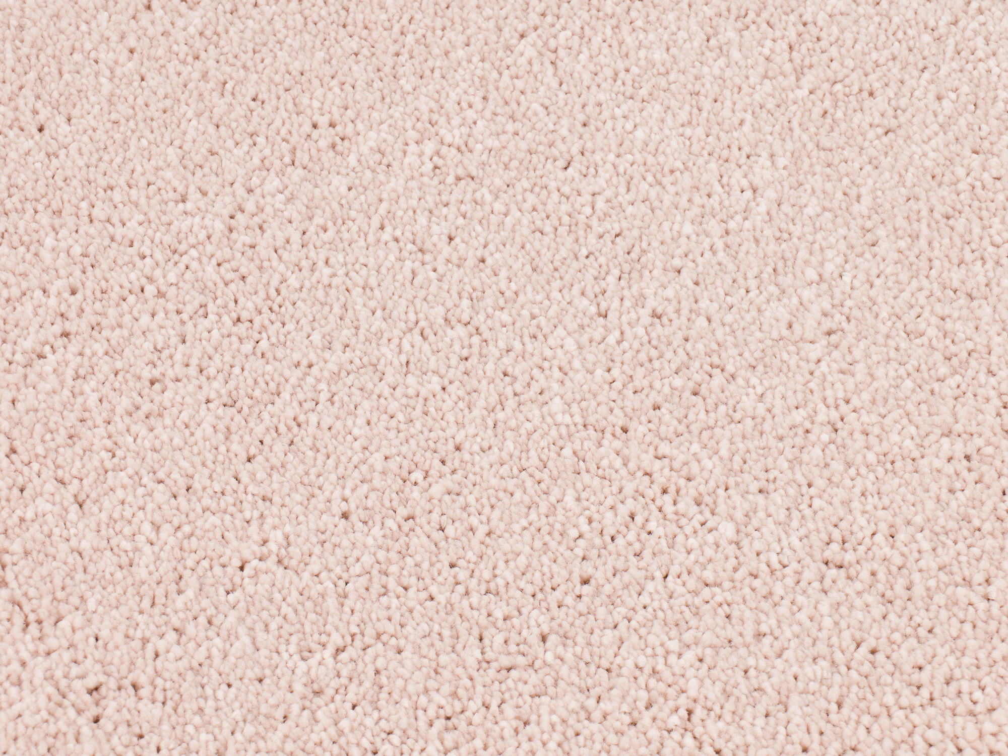 Dreamy Delight 911 sweet embrace