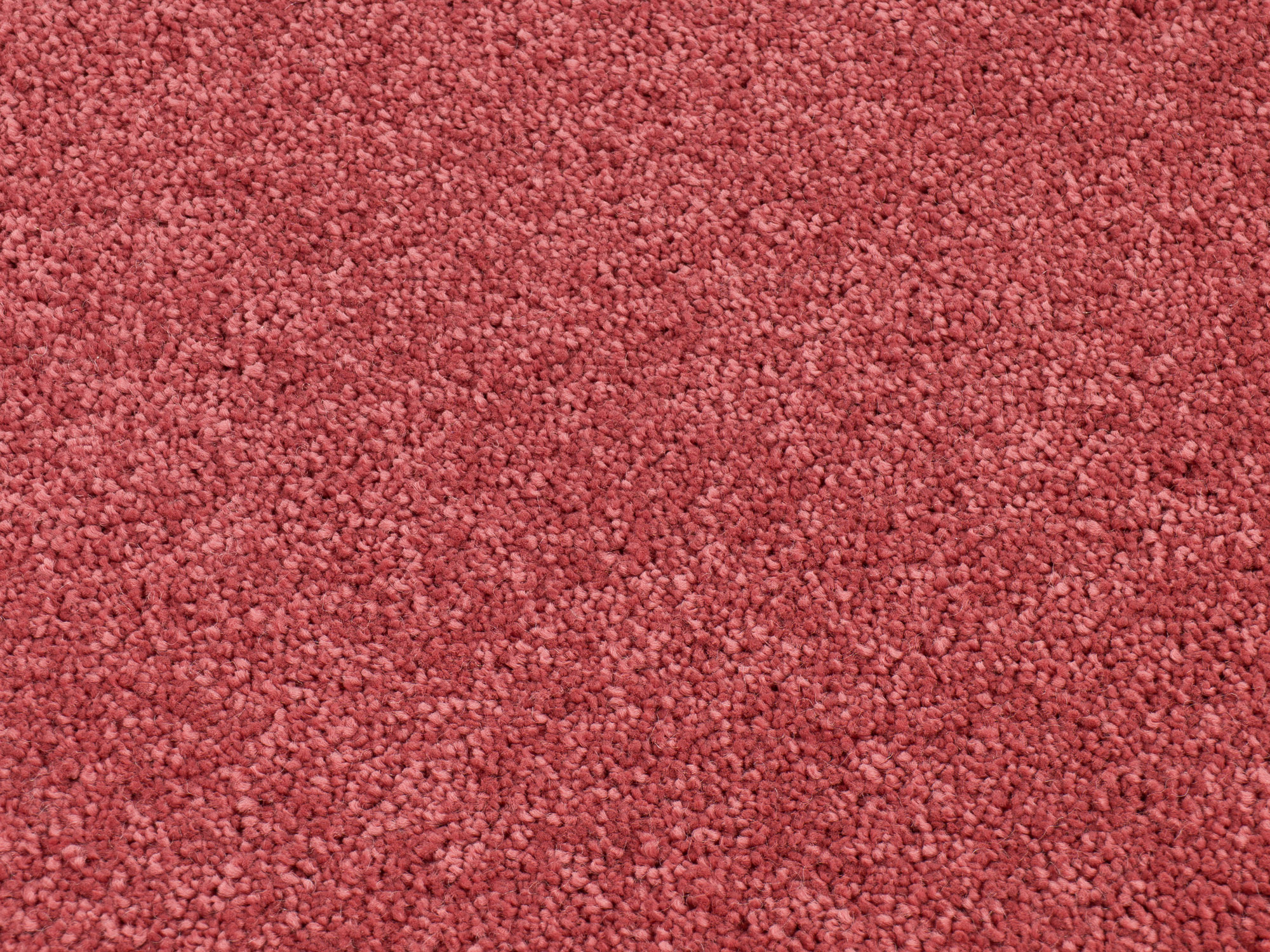 Dreamy Delight 935 pagan