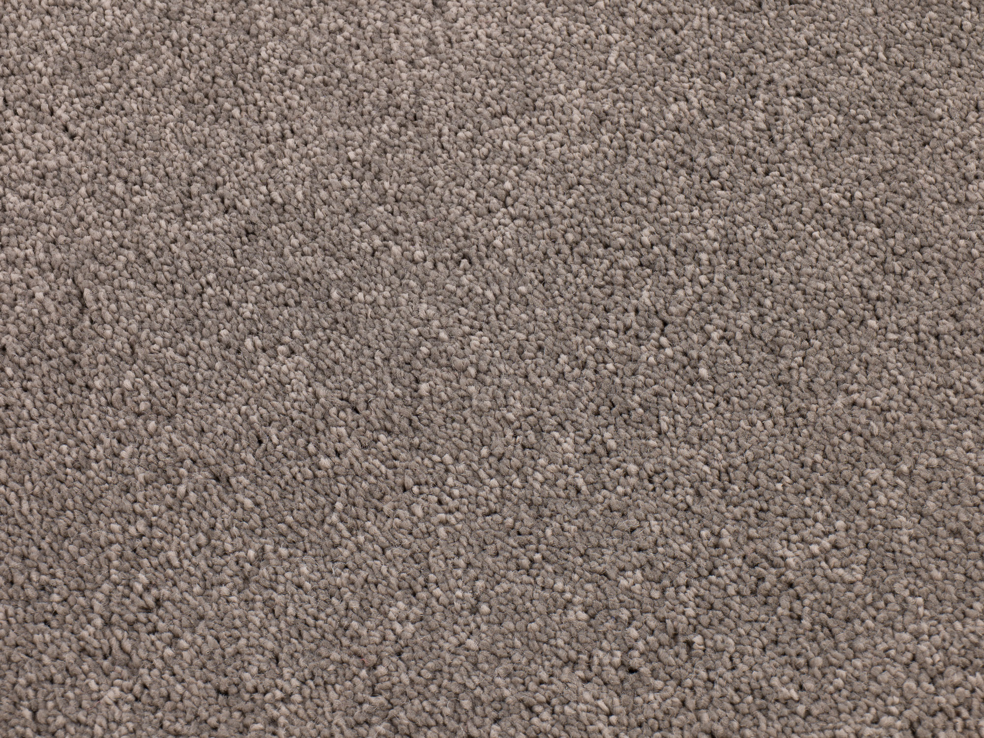 Dreamy Delight 967 cool charcoal