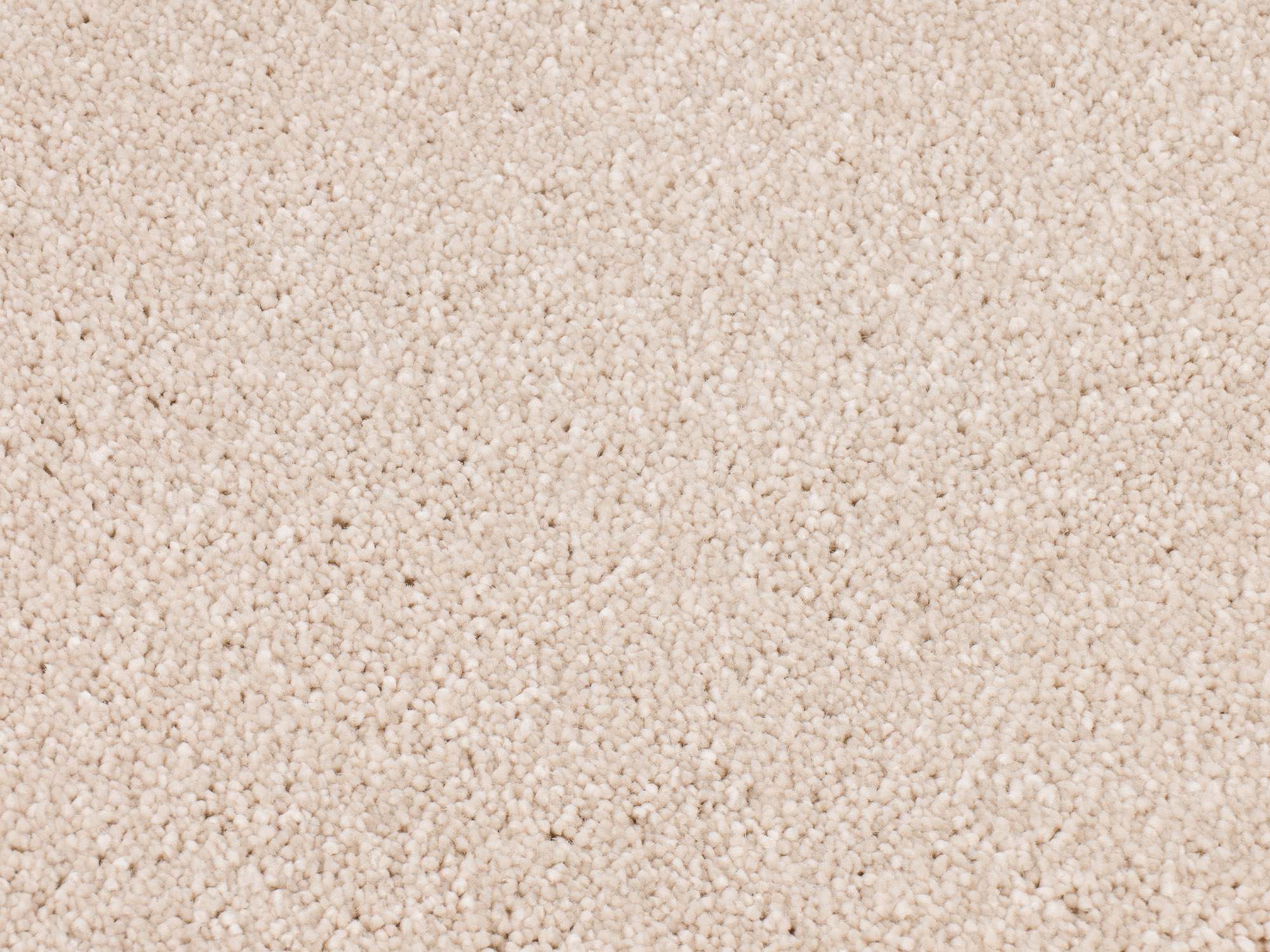 Dreamy Delight 971 plaster