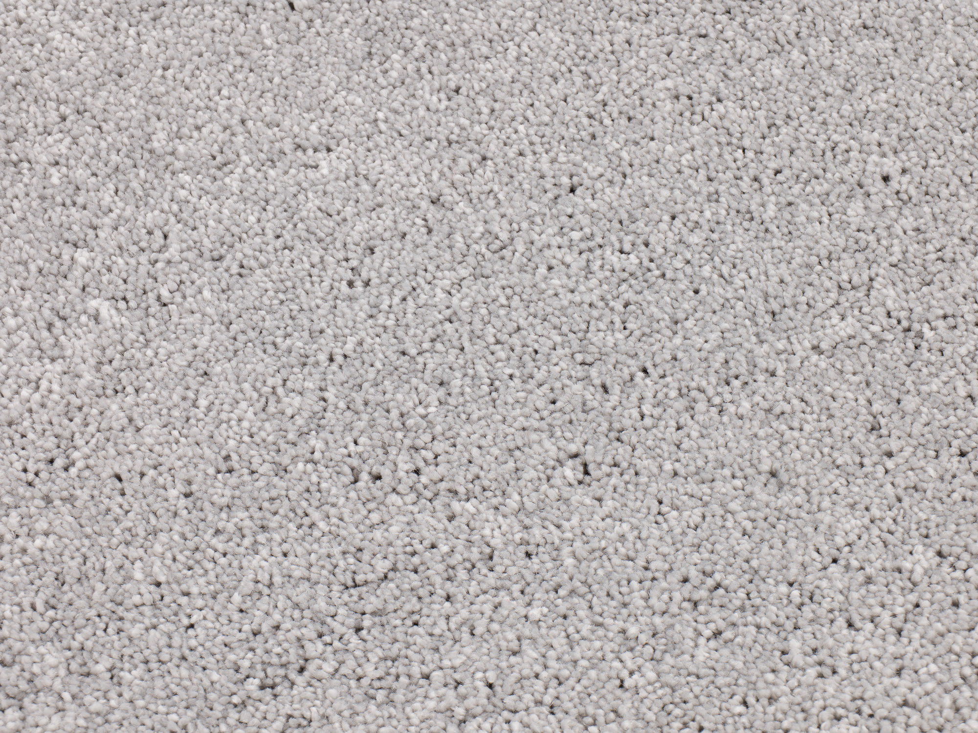 Dreamy Delight 975 artic