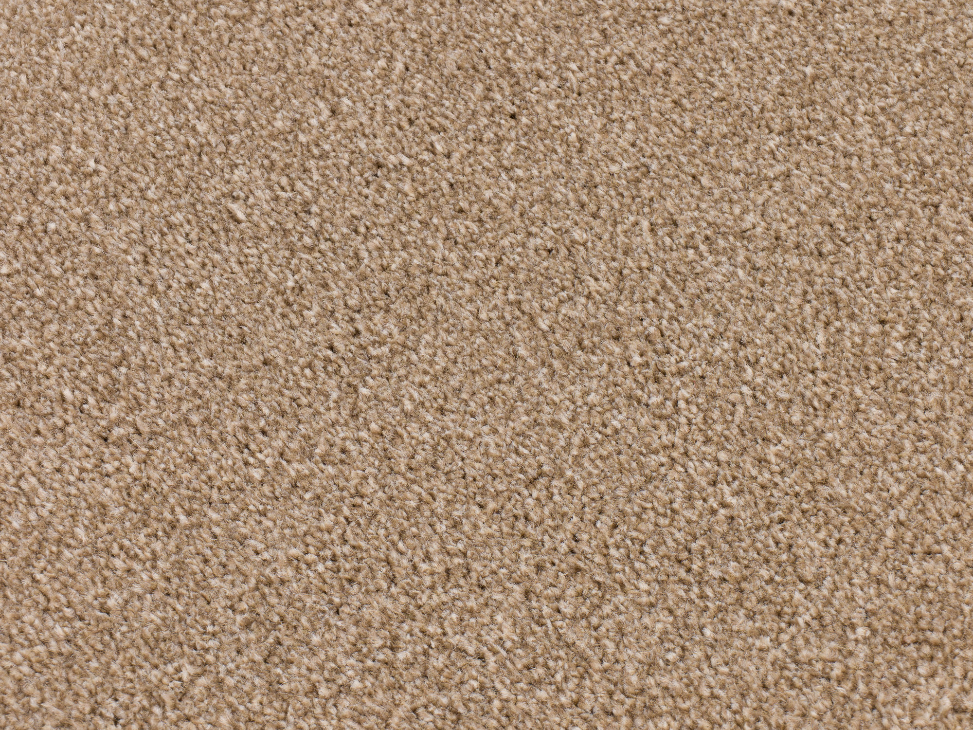 Twisty Touch 1090 light birch