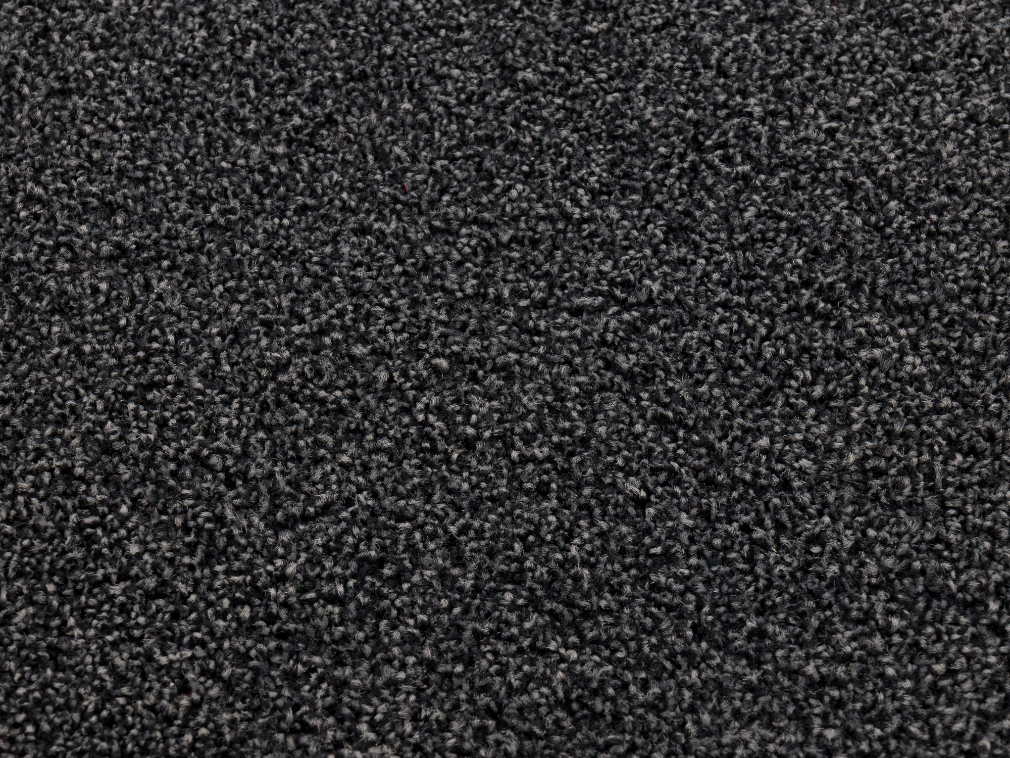 Minnesota 0246 carbon