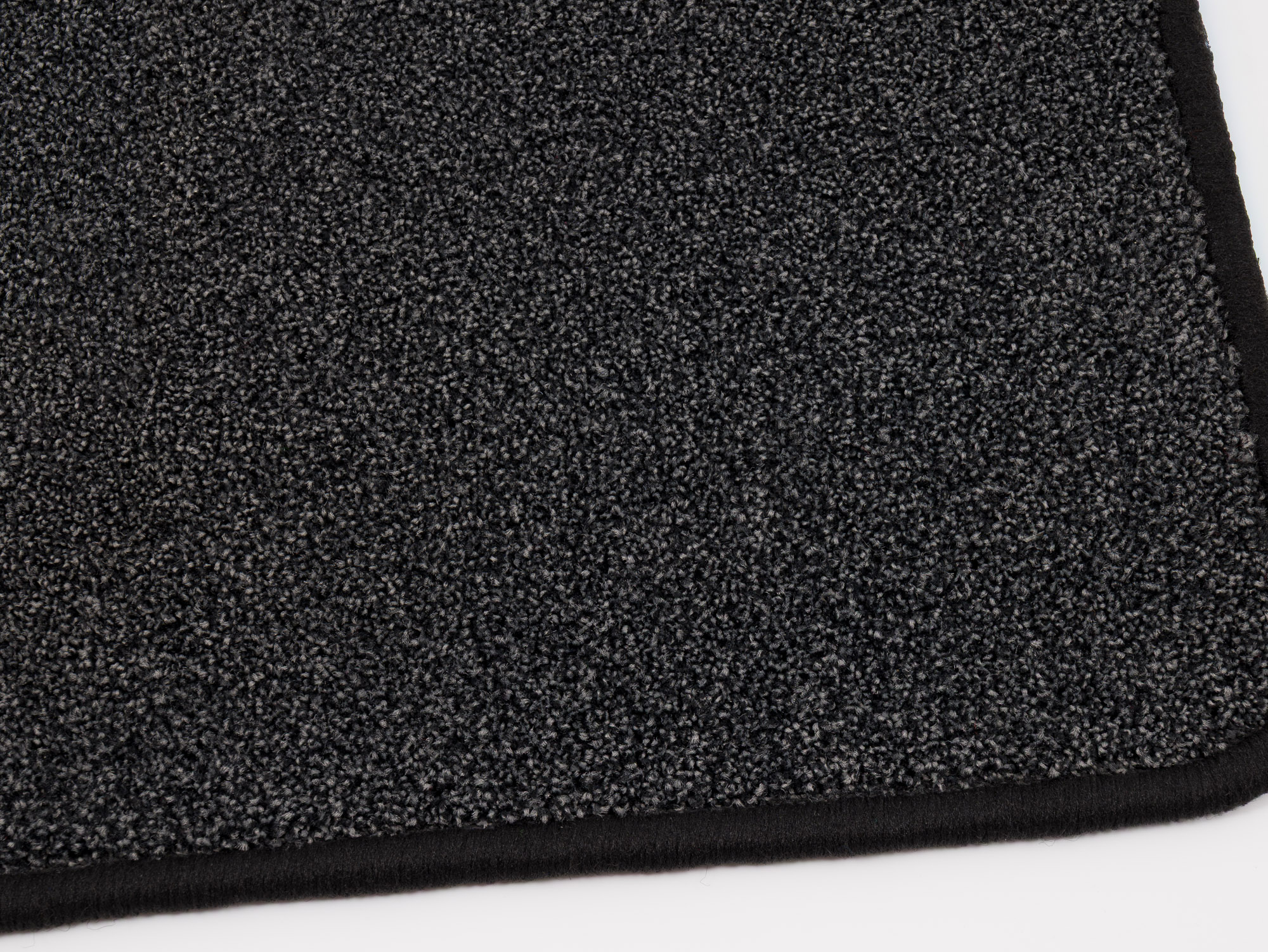 Minnesota 0246 carbon