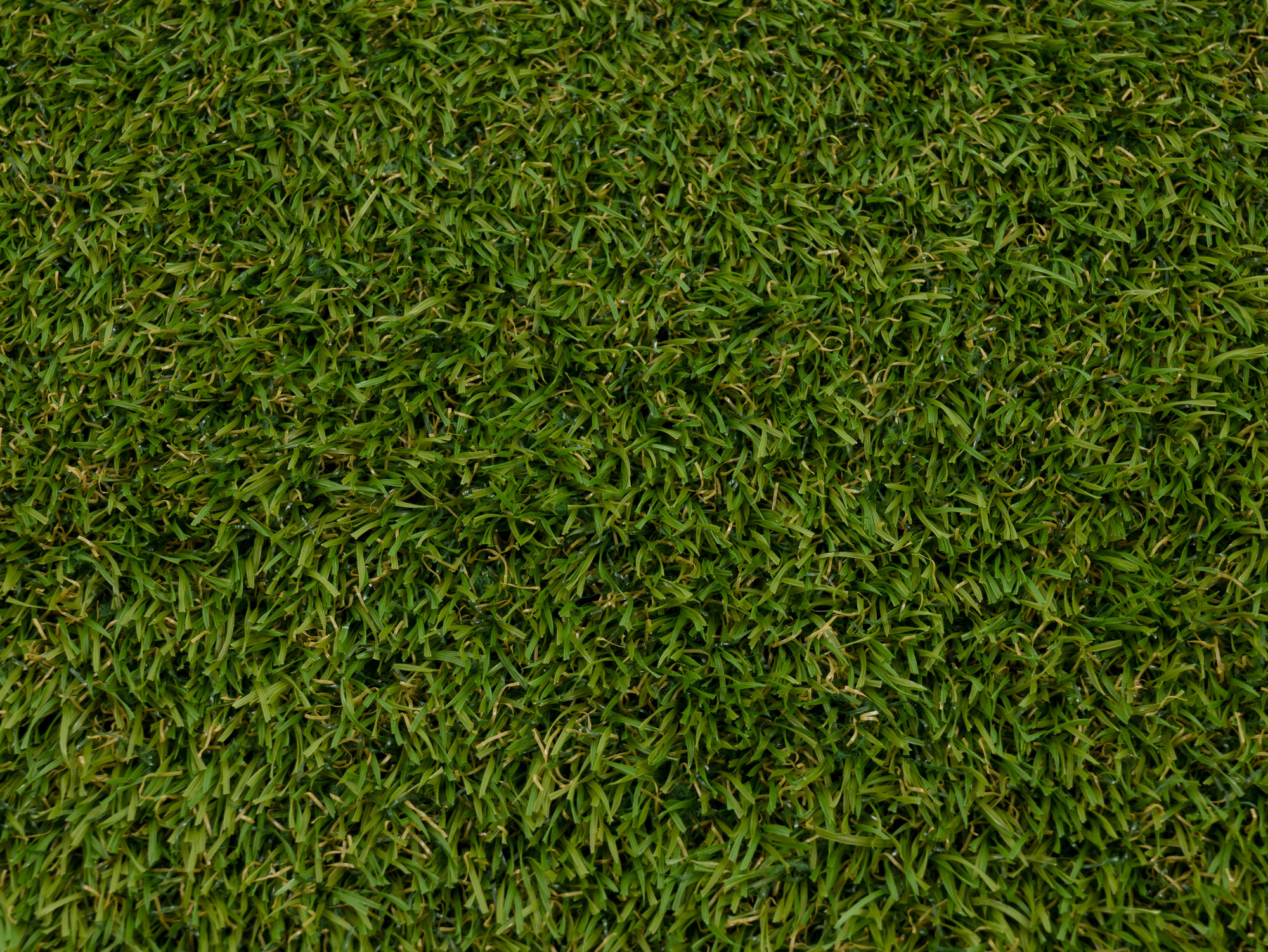 Yara grass olive