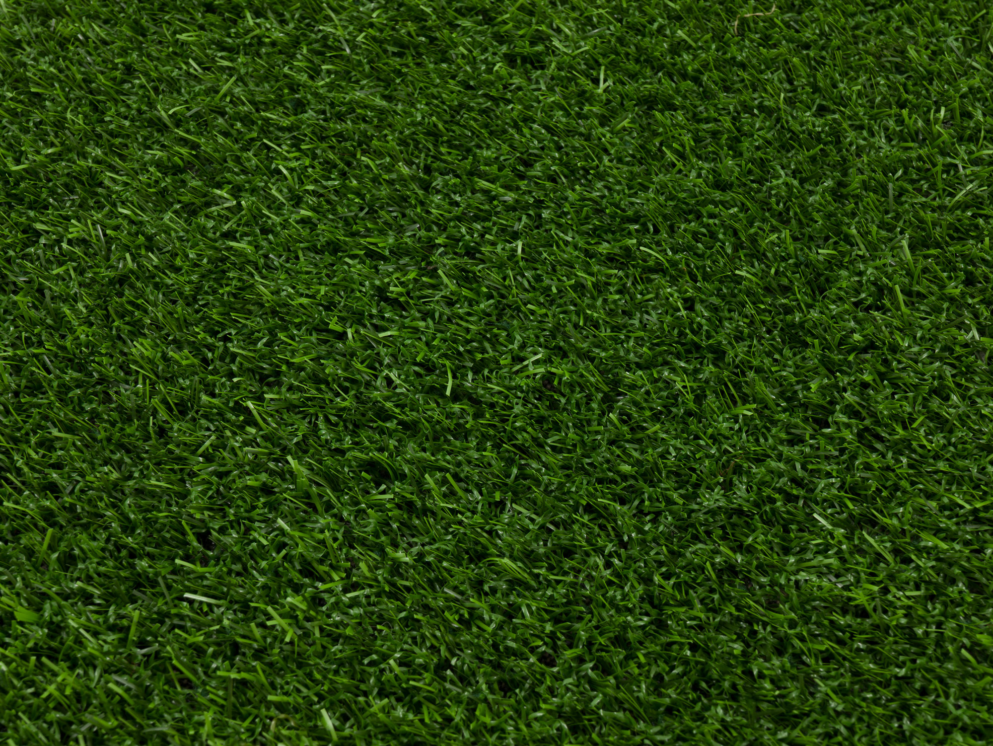 Greenville 15 zelený