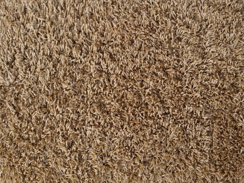 Bugatti Exclusive 08